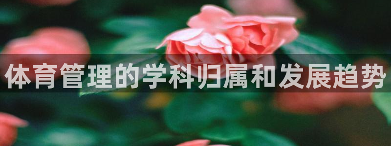 必一体育验证码：体育