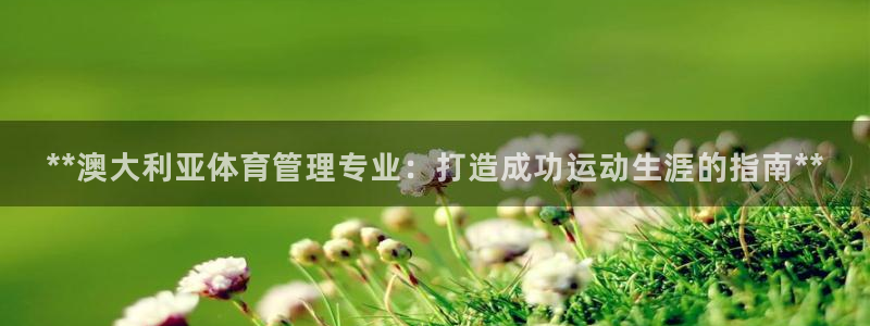 必一体育网页版登录：