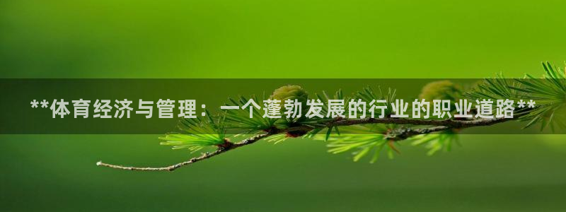 必一体育在线下载：*