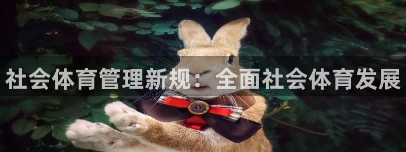 必一体育电子app：