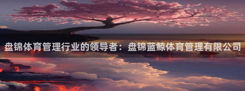 b体育必一运动网页版
