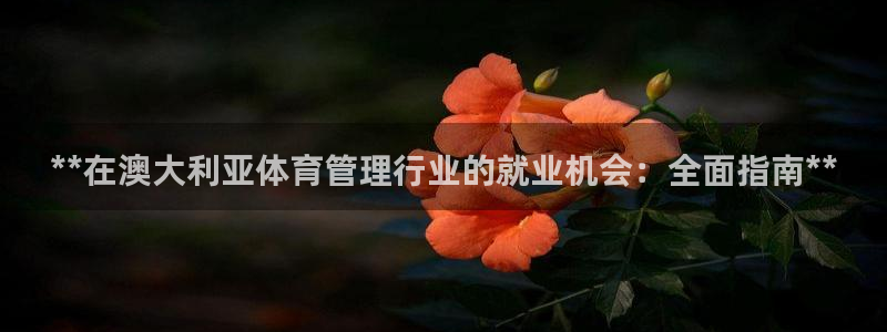 必一体育验证码：**