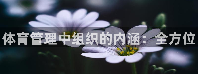 必一体育app下载：