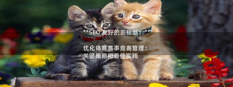 必一体育游戏玩法：*