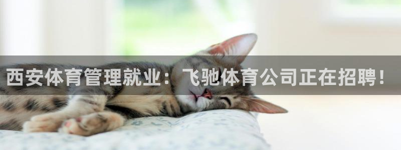 必一体育app下载装
