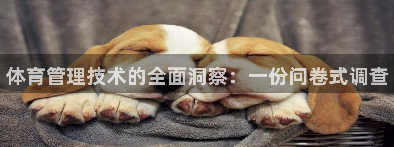 必一体育在线登陆：体