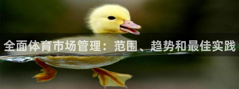 必一体育sportB