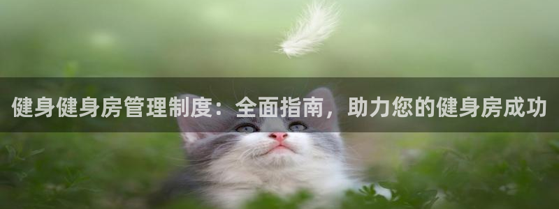 必一体育在线登录：健