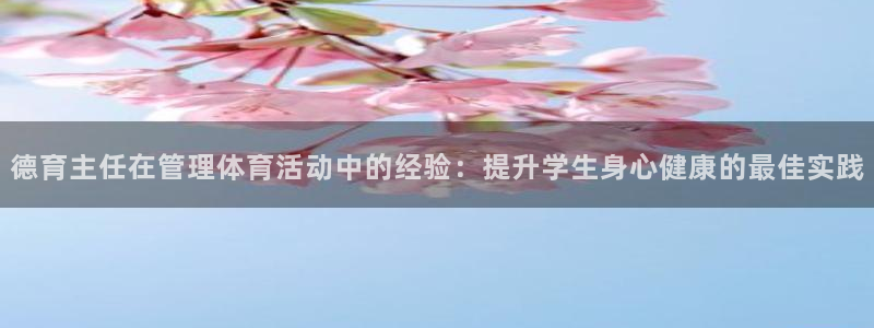 必一体育游戏玩法：德