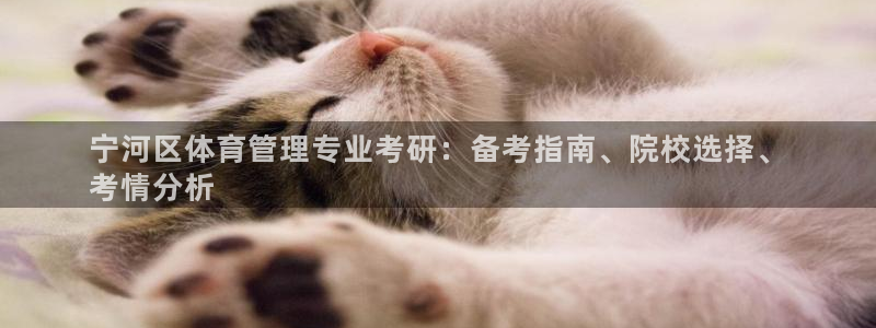 必一体育官网网站：宁