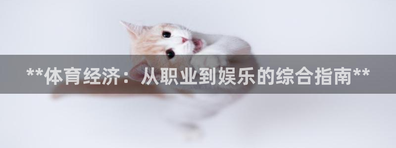 必一体育app下载最