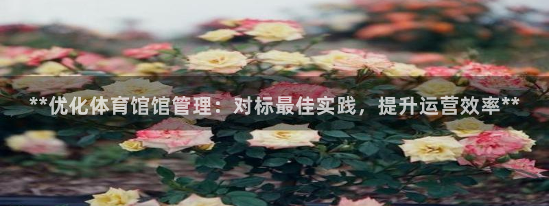 必一体育运动平台官网