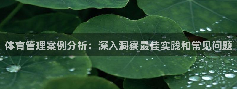 b体育官网下载入口app必一：体育管理案例分析：深入洞察最佳