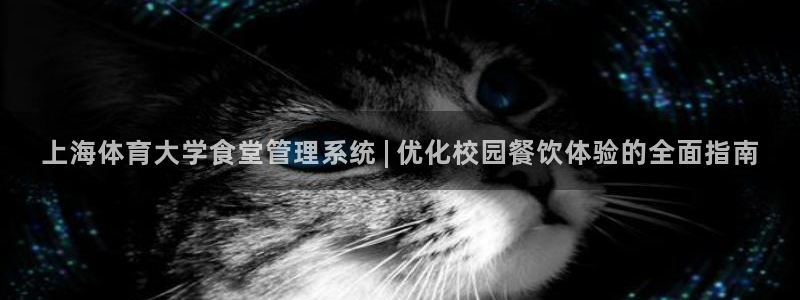 必一体育秀给网：上海