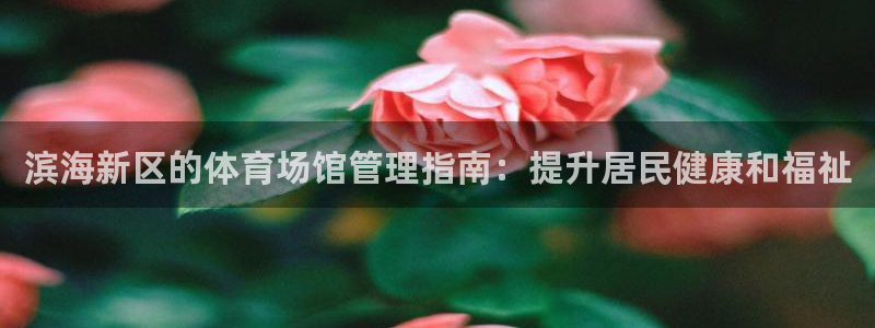 必一体育sport网