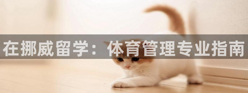 必一体育登录APP下