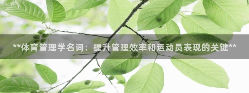 必一体育秀给网：**