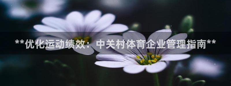 必一运动体育app：