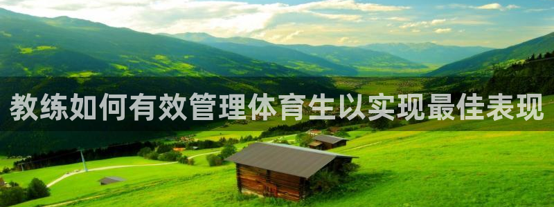 必一体育最新官网入口