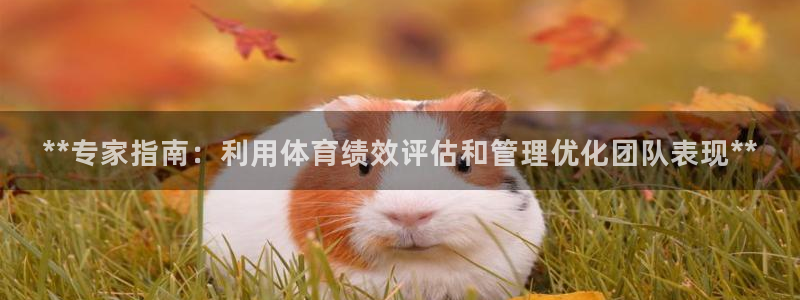 必一体育下载意思：*