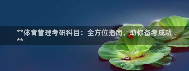 必一体育sport网