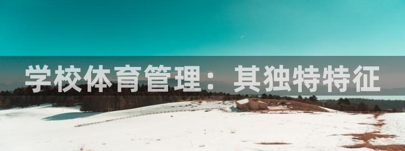 必一运动 b 体育素描版：学校体育管理：其独特特征