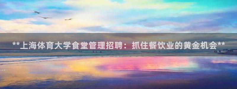 必一运动sport爱