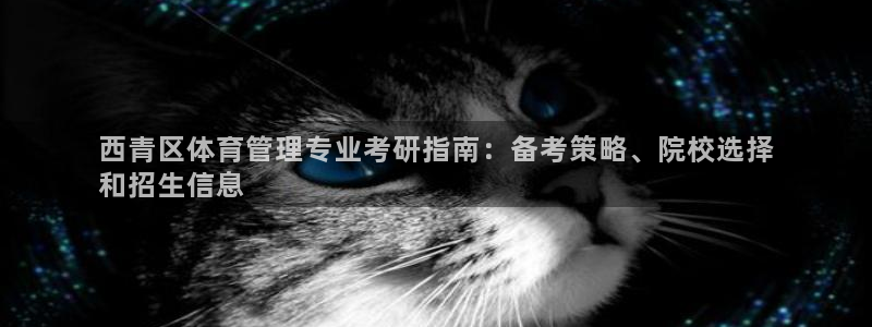 必一体育app下载最