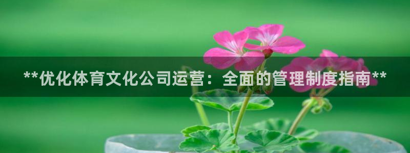 必一运动官网平台：*