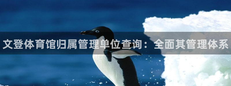 必一体育下载app：
