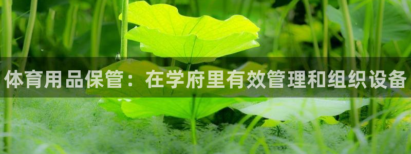 必一体育电子app：