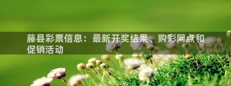 必一体育在线下载：藤