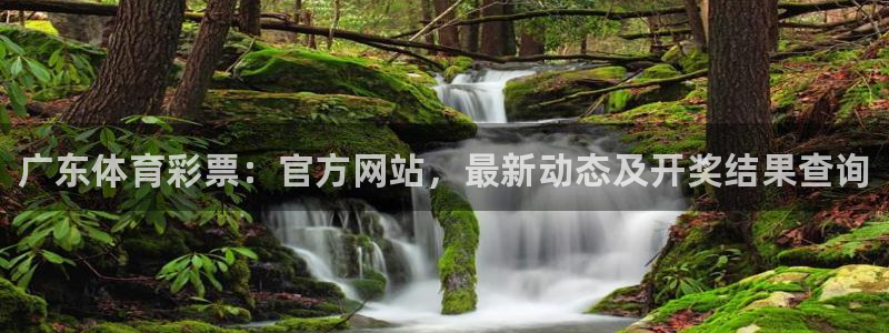必一体育黑平台：广东