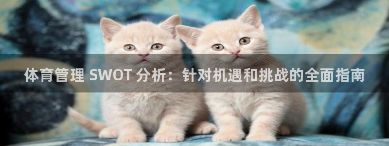b体育必一下载：体育