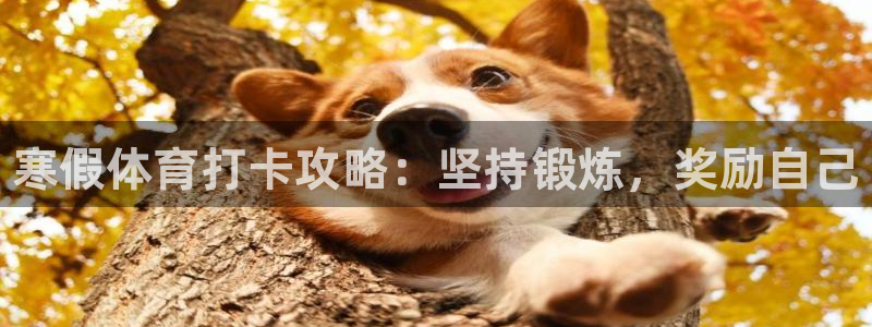 必一体育服下载最新版本更新内容：寒假体育打卡攻略：坚持锻炼，