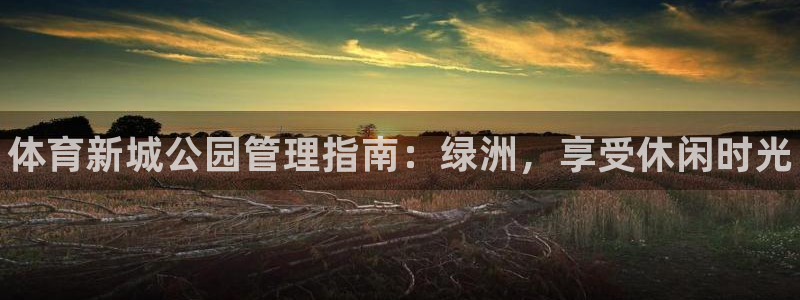 必一体育在线入口：体