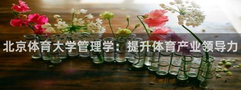 必一体育sport官