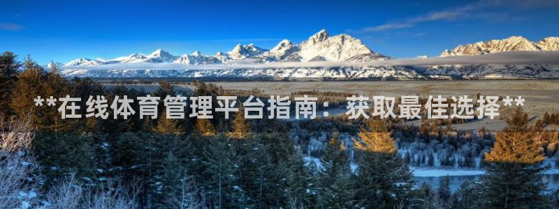 必一体育没了：**在