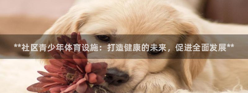 必一体育下载秀给网：