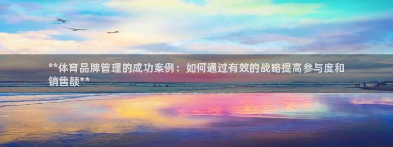 必一体育APP：**体育品牌管理的成功案例：如何通过有效的战