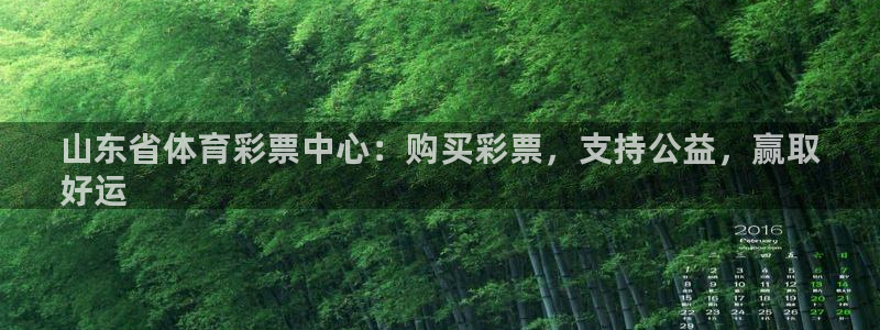 必一体育黑钱：山东省