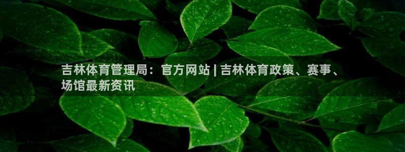 必一体育sport官