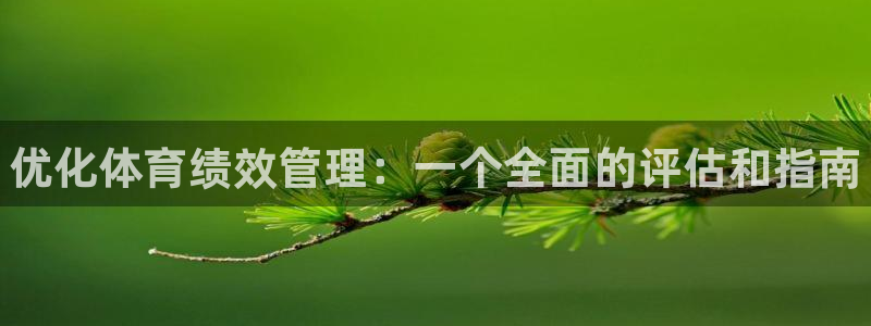 必一体育app平台下