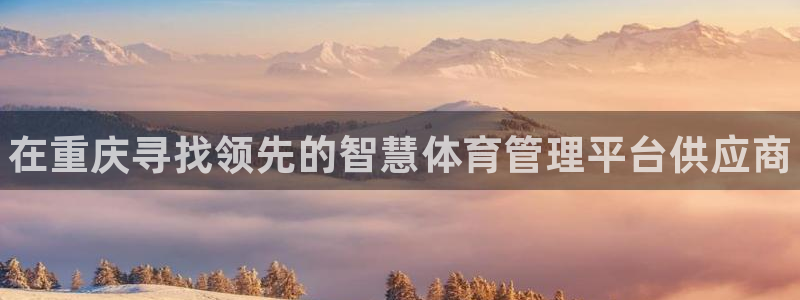 必一体育最新官网入口