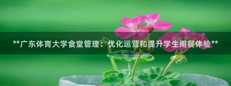 必一体育sport：