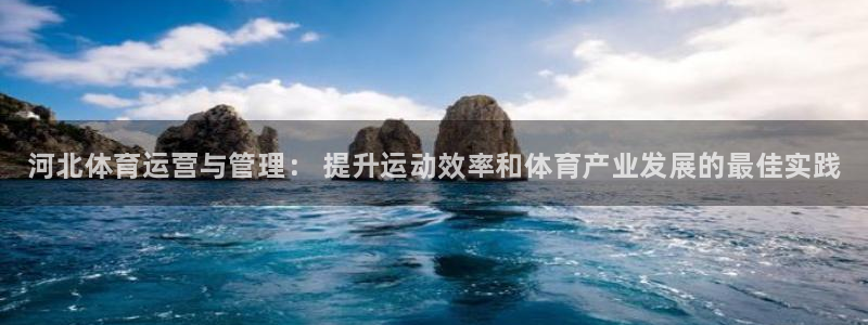 必一体育手机下载：河