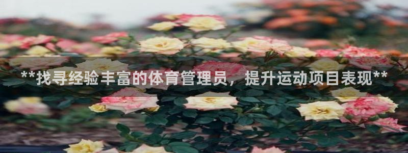 必一运动官网：**找寻经验丰富的体育管理员，提升运动项目表现