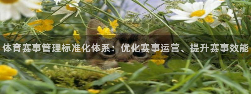 必一体育运动app下