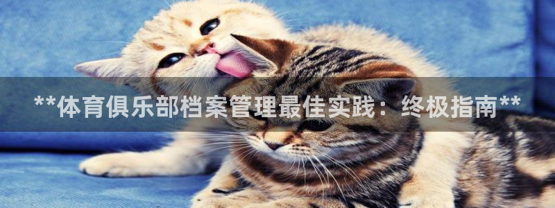 必一体育秀给网：**